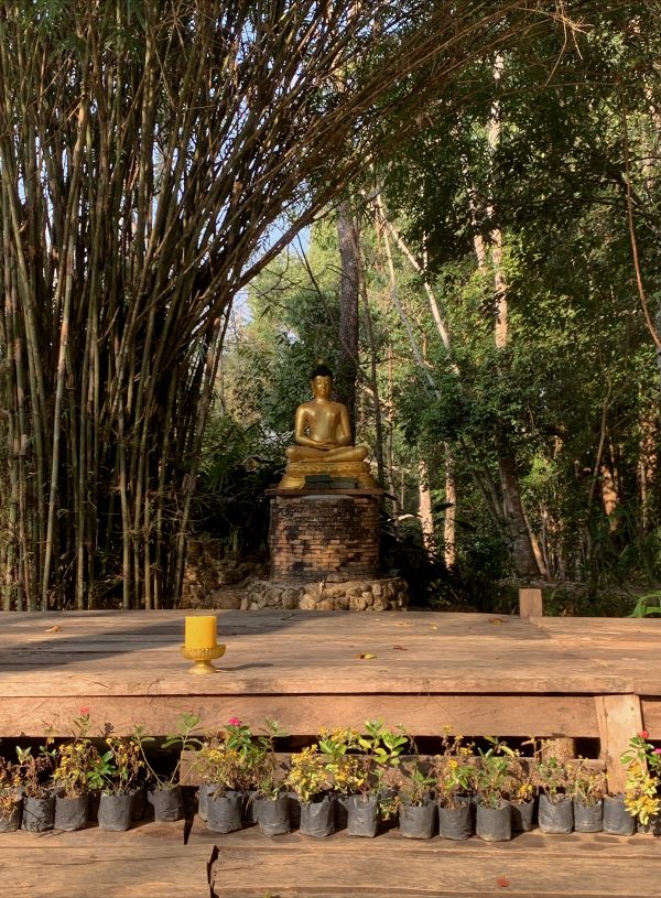 Pa Pae Meditation Retreat - Grounds