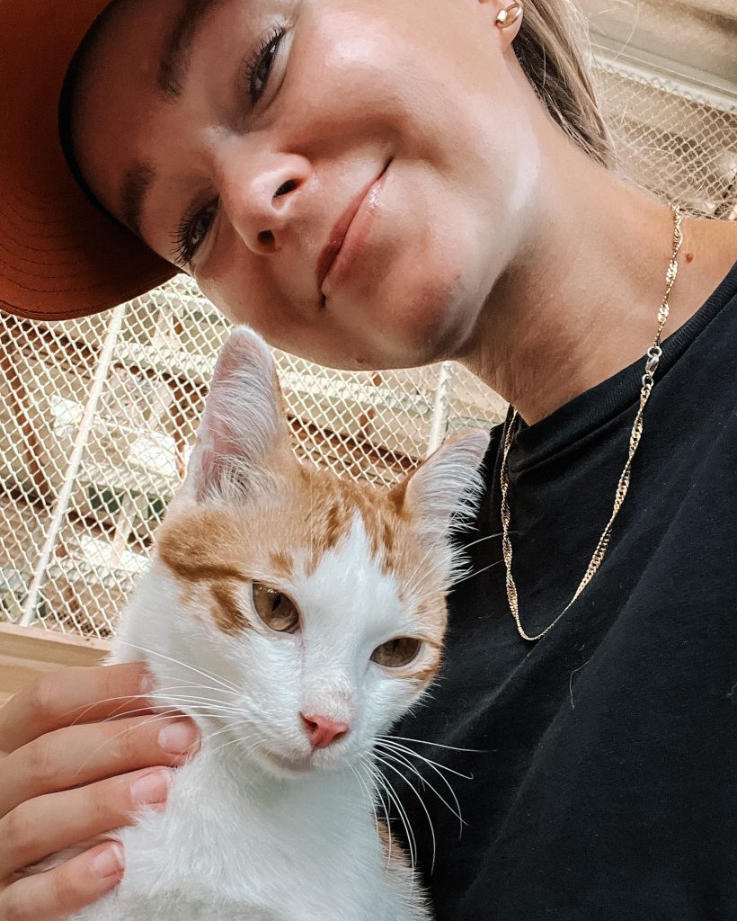 A cat at Soi Dog Foundation in Phuket
