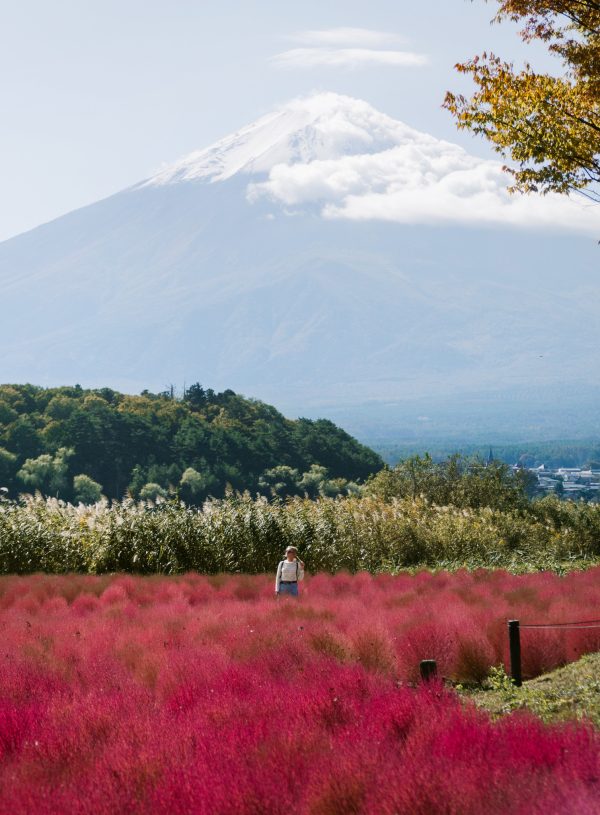 Photo of Mt Fuji at Fuji Flower Child