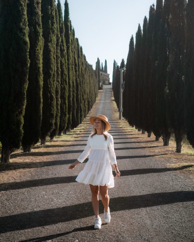 Cipressi alley to Agriturismo Poggio Covili in Tuscany