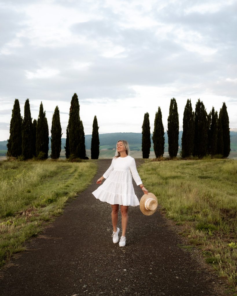 Round cipressi in Tuscany, Italy