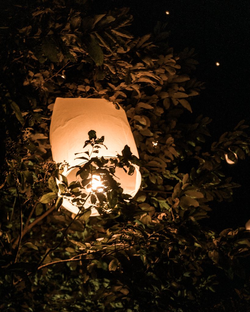 Sky lantern in the tree during Yi Peng Festival in Doi Saket, Thailand