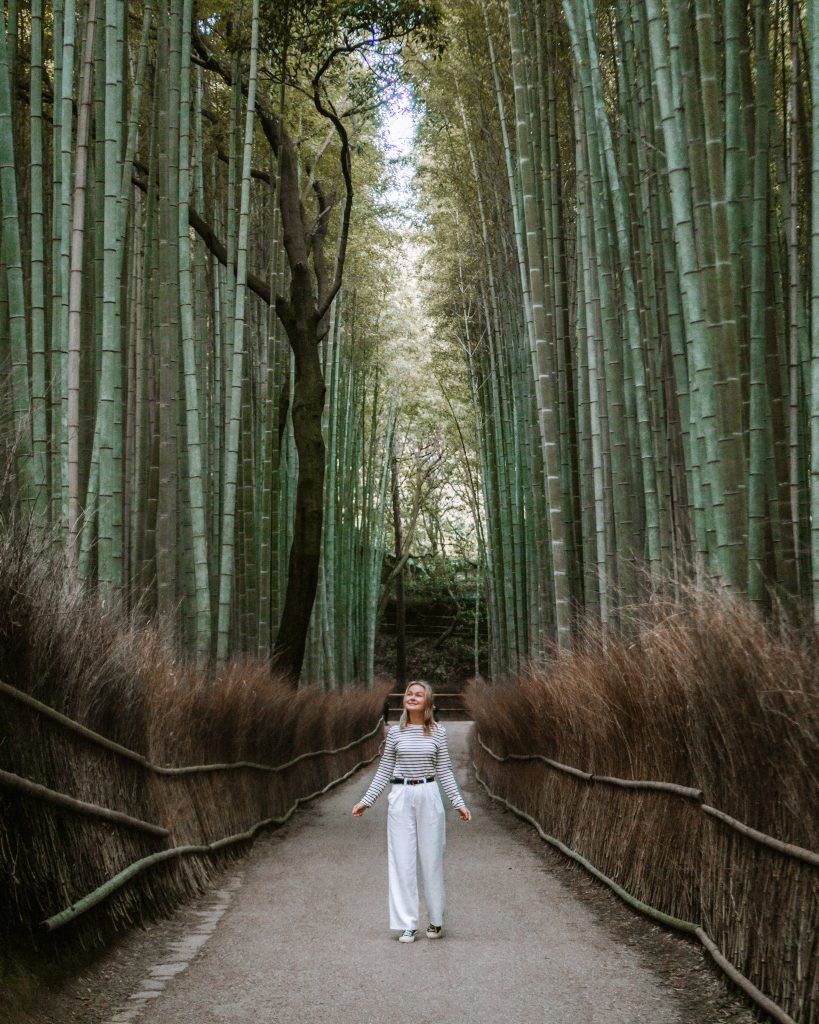 Stunning places in Japan in 2025 - Arashiyama Bamboo Forest