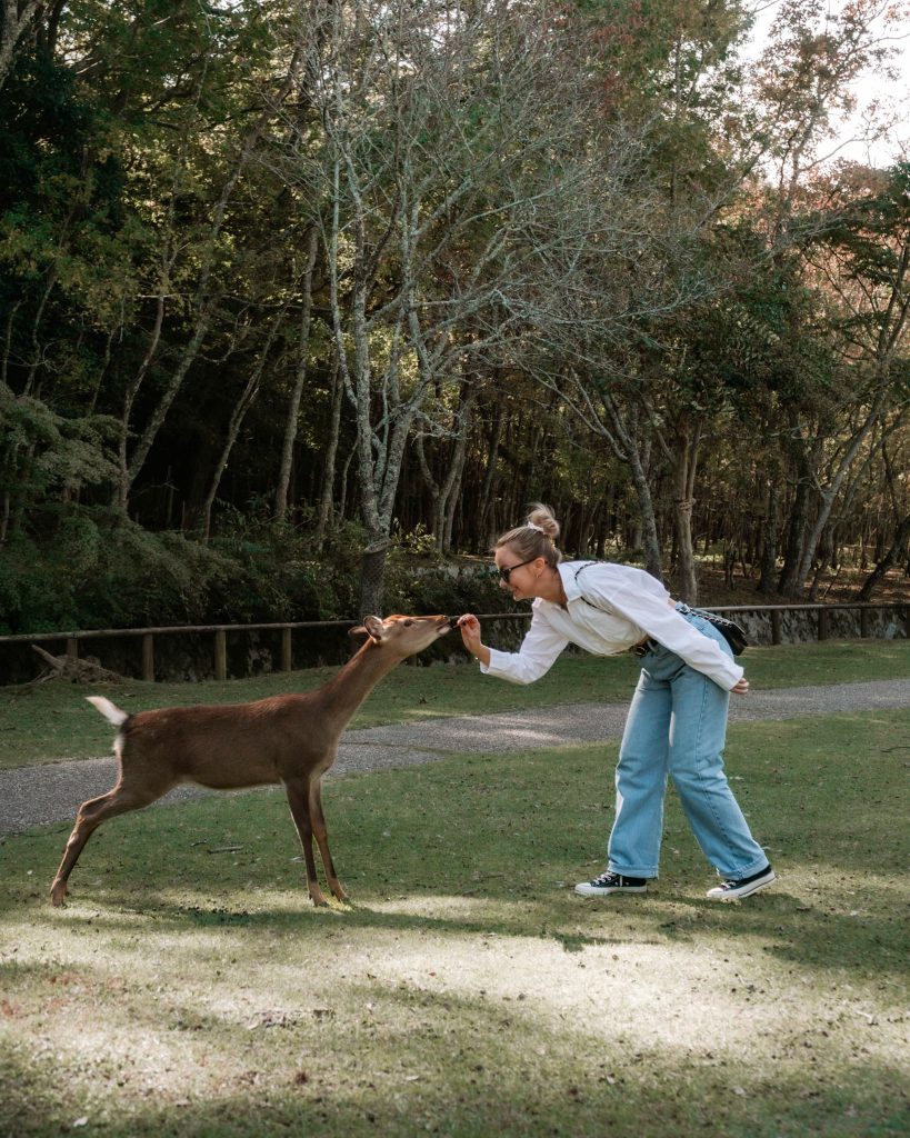 Stunning places to visit in Japan in 2025 - Nara deer park in Japan