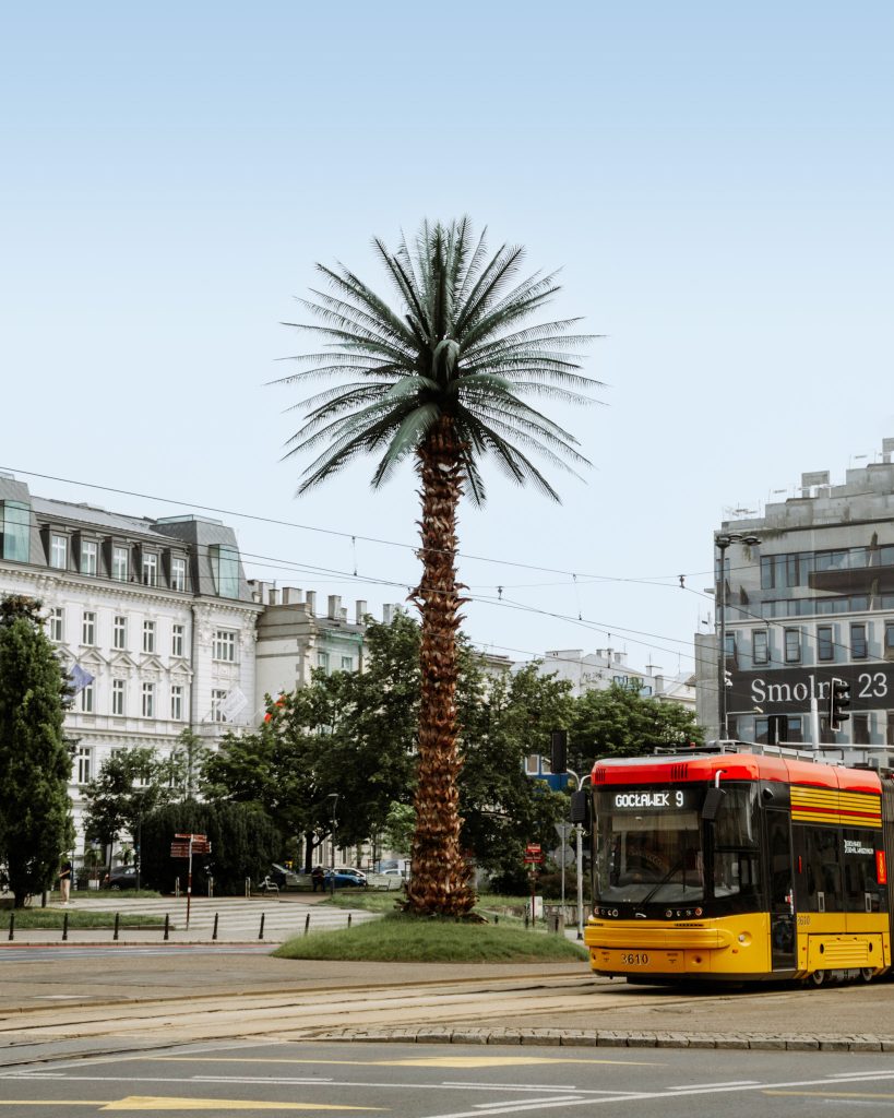 Charles'a de Gaulle'a Palm Tree in Warsaw, Poland