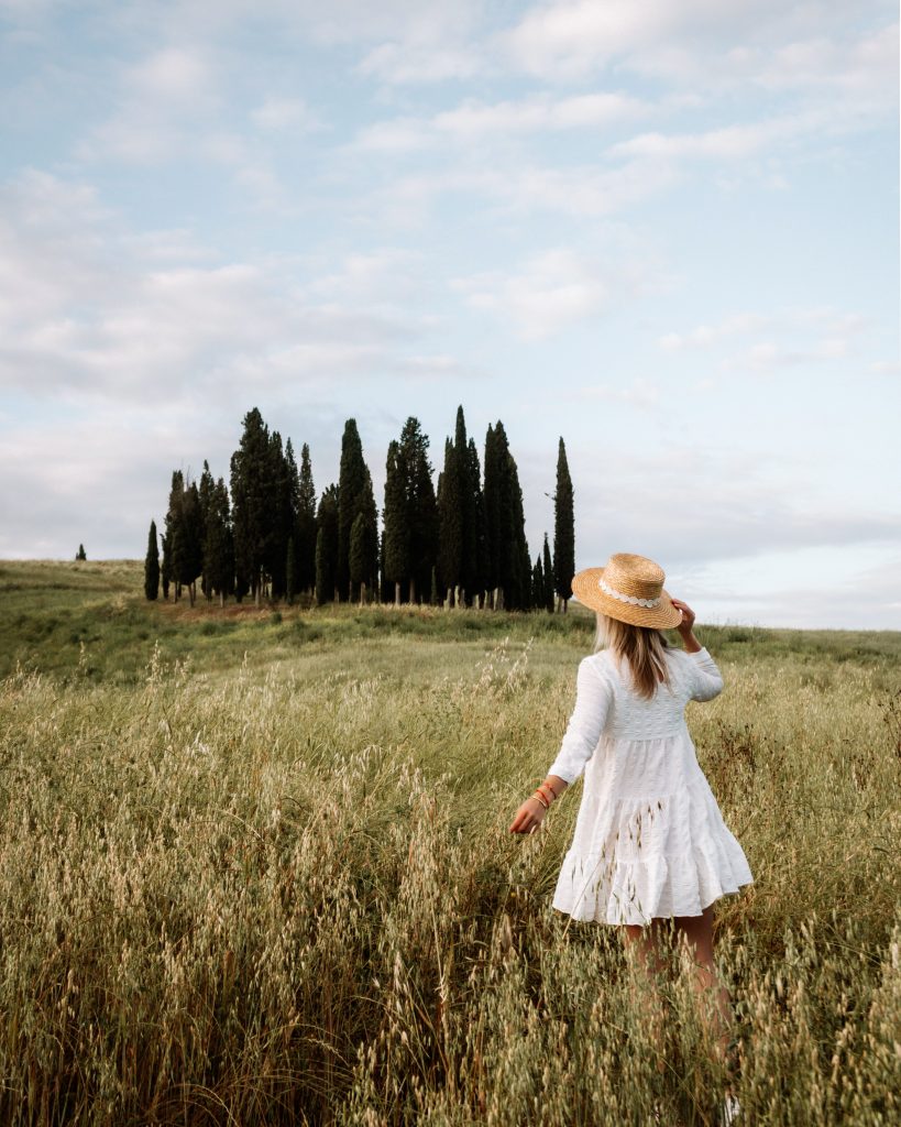 Aga in front of the cypress tress in Val d'Orcia, Tuscany