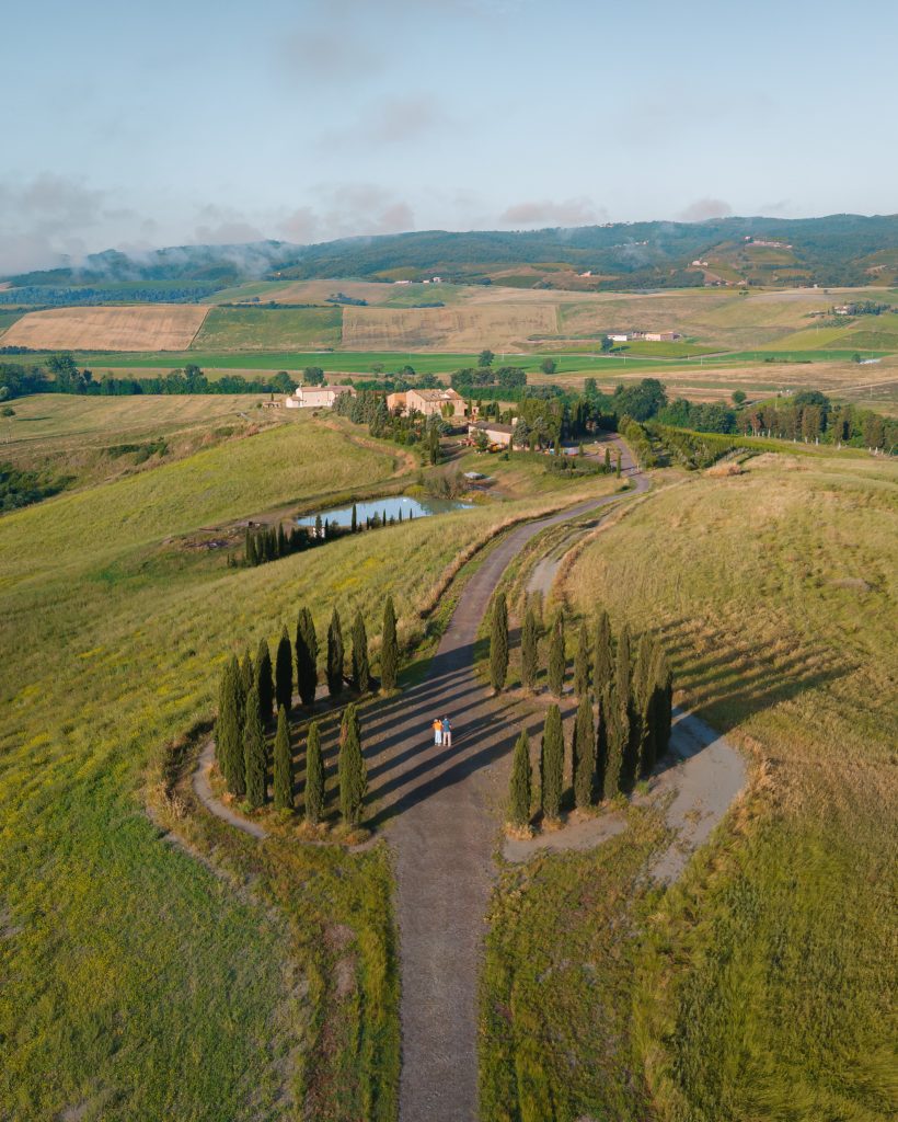 Cipressi in Tuscany from above
