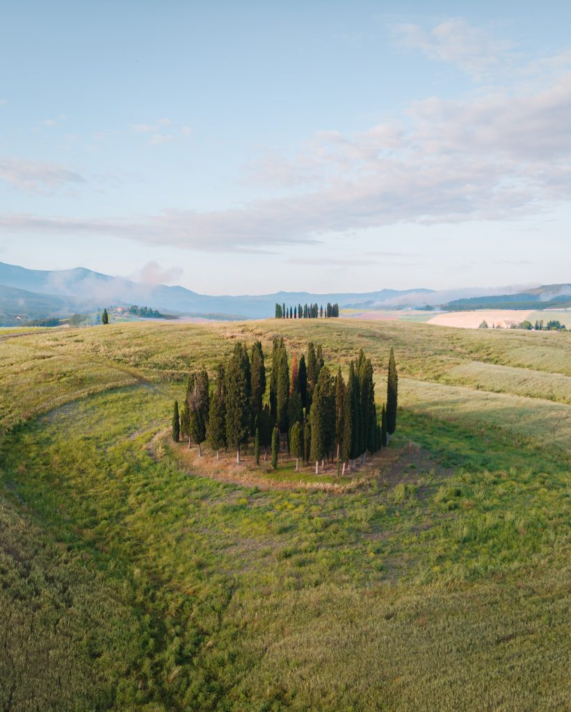 Drone shot of Cipressi di Sam Quirico d'Orcia