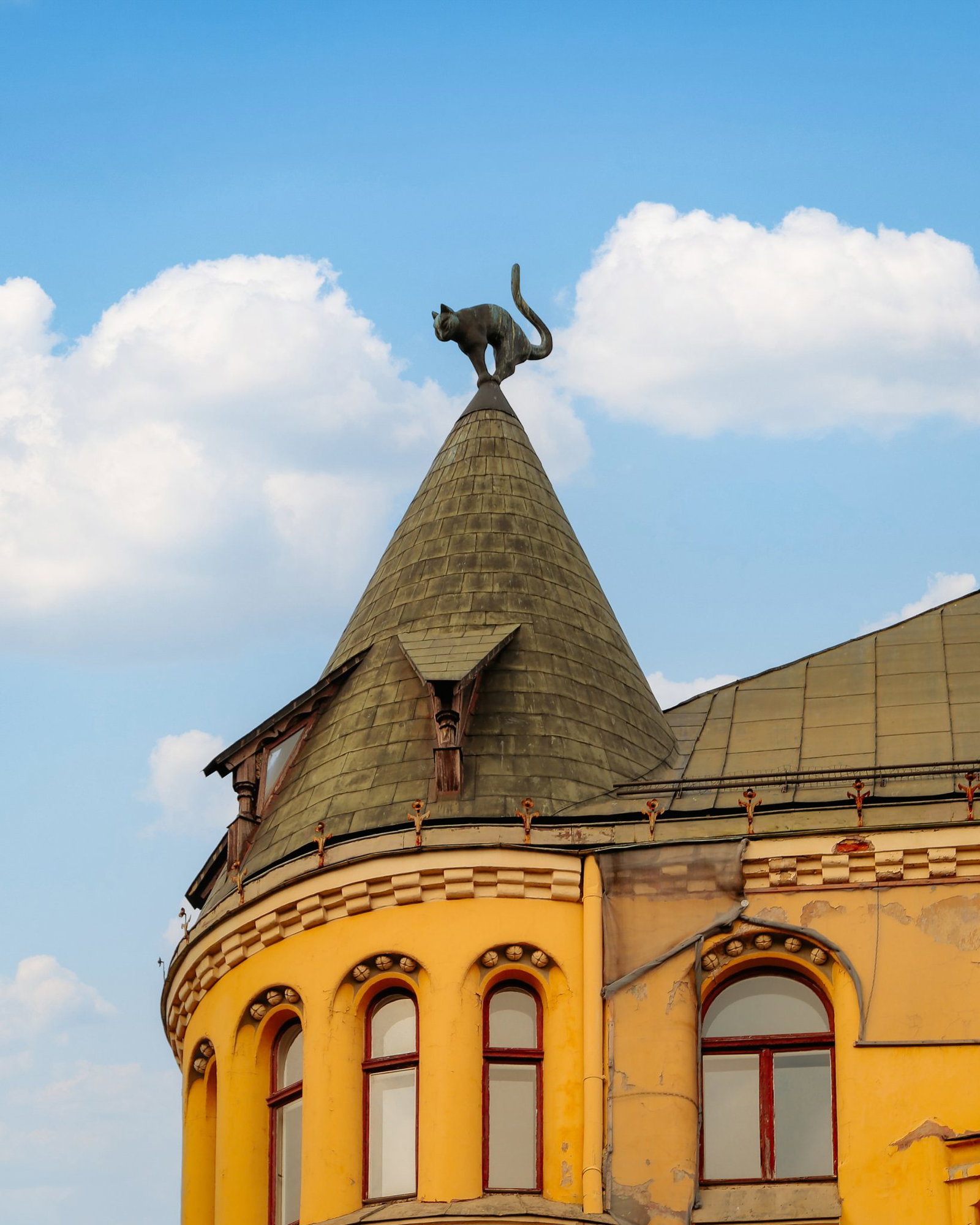 Black cat on the roof building in Riga