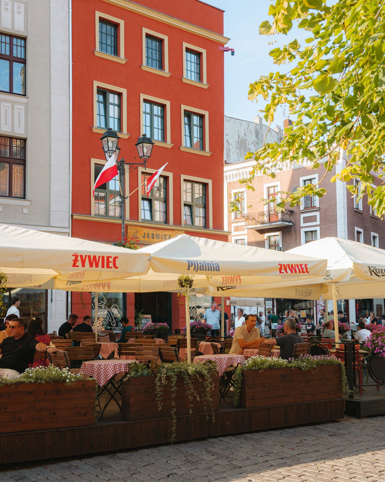 Bars and restaurants in Torun, Poland
